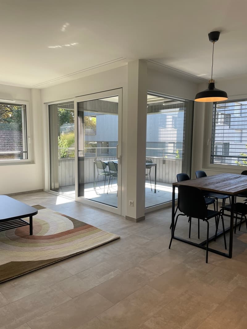 Beautiful 4.5-room apartment in the Arbora neighborhood, Crissier (2)