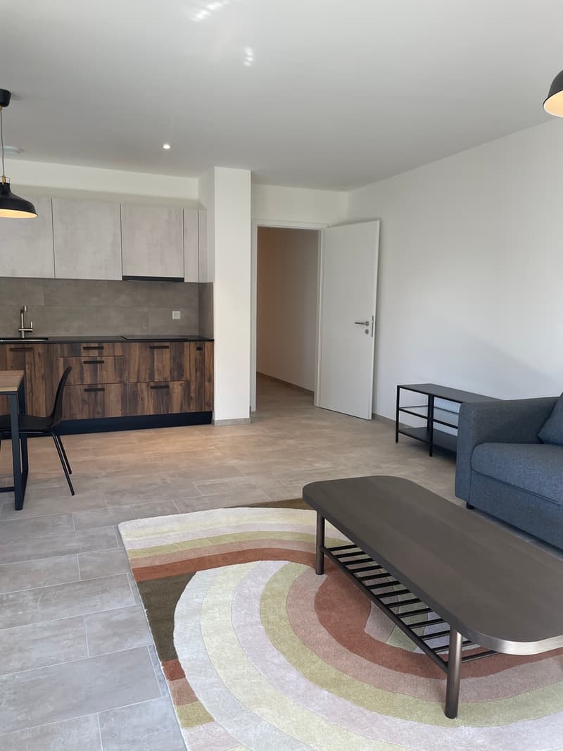 Beautiful 4.5-room apartment in the Arbora neighborhood, Crissier (3)