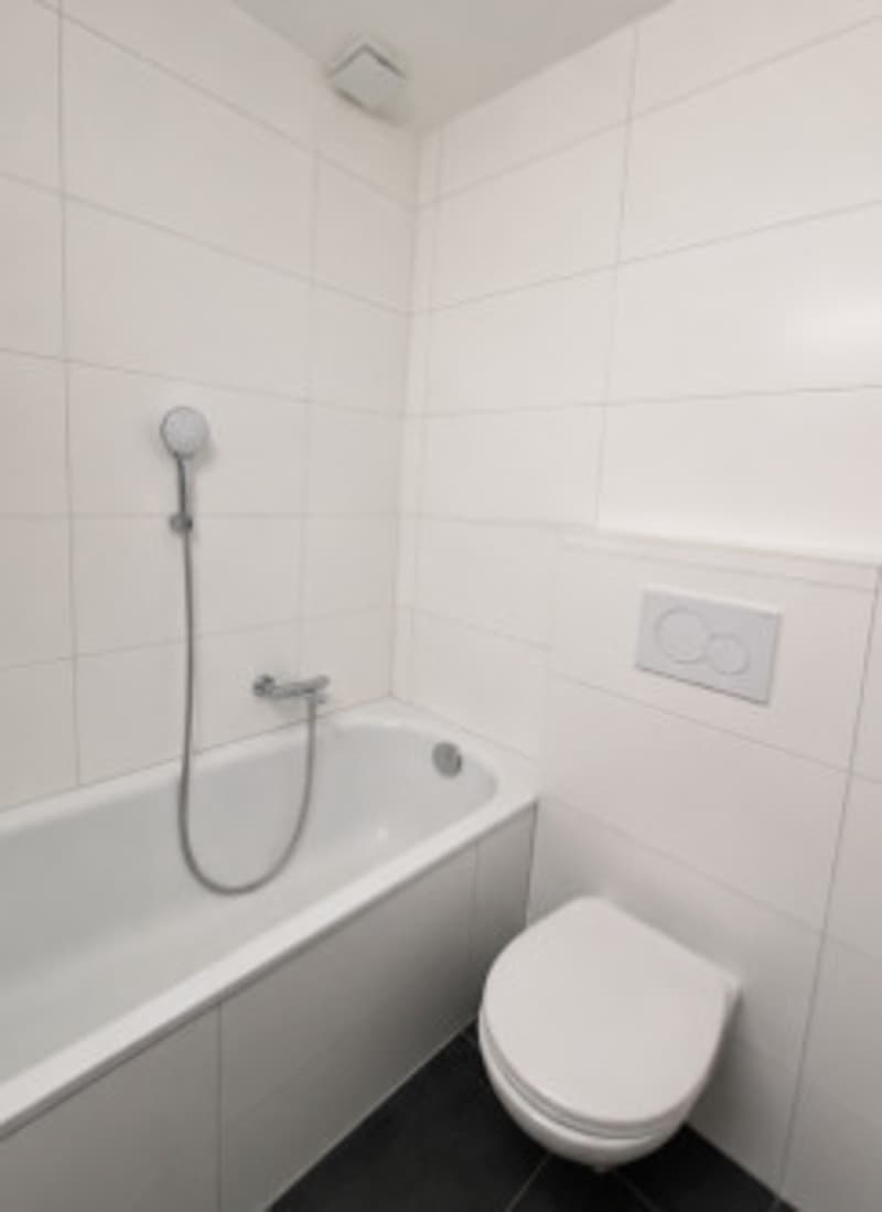 Monolocale di 21 m² a Renens - Posizione ideale vicino all'UNIL (4)