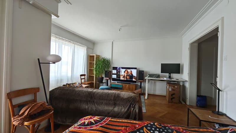 Appartement de 1.5 pièces - Avenue Louis-Ruchonnet 24, Lausanne (4)