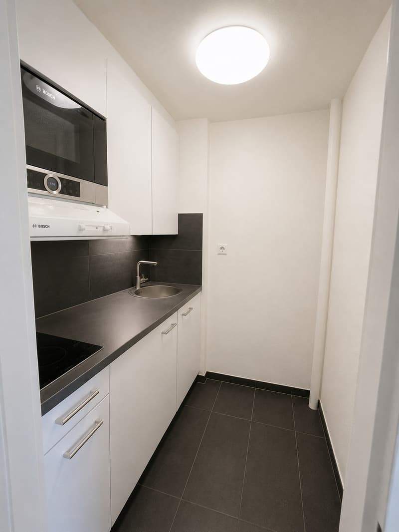 1 Zimmer im oberen Erdgeschoss in Renens (3)