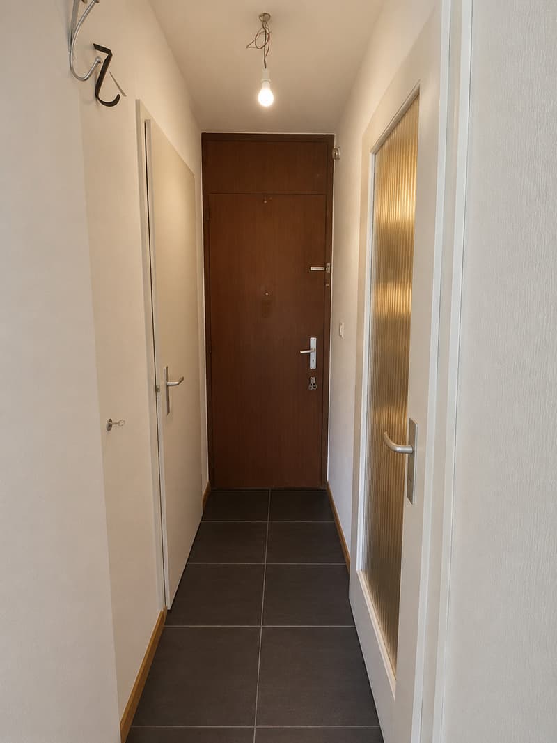 1 Zimmer im oberen Erdgeschoss in Renens (5)