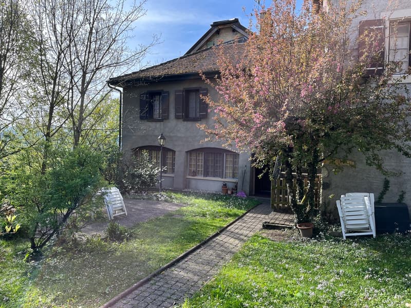 Appartamento di 3 locali al Chemin du Prieuré 10, 1304 Cossonay (5)