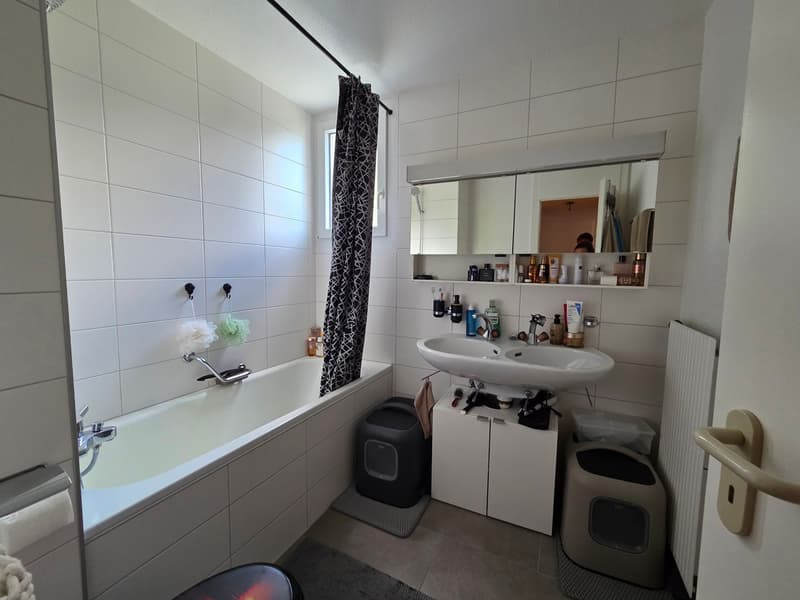 Bello appartamento di 3.5 locali con balcone (6)