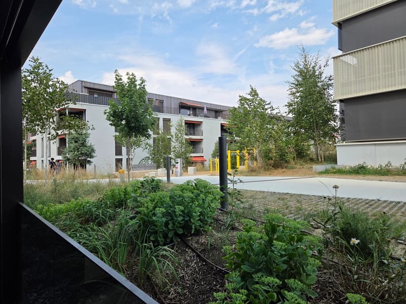 Schönes 1.5-Zimmer-Apartment in Echallens - verfügbar ab 15.08.2025 (9)