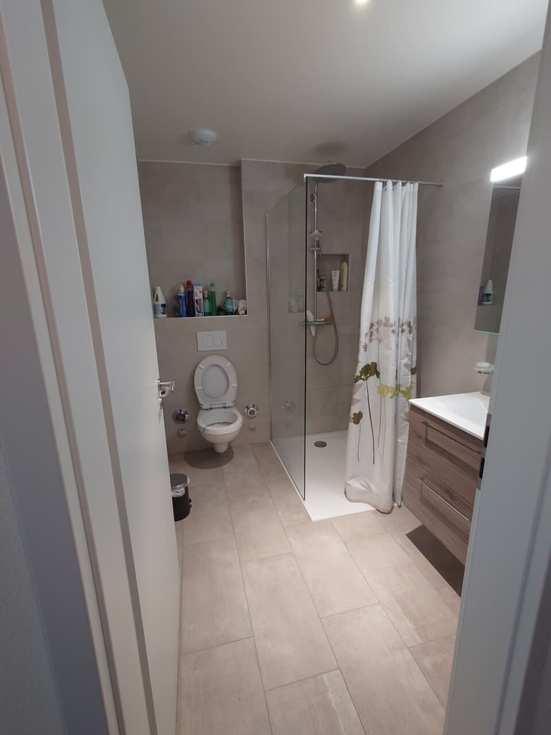 À louer, Appartement meublé, 1023 Crissier, Réf 1002.01.0106.01 (6)