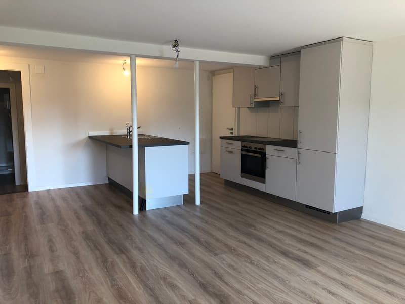 Beautiful renovated apartment at Chemin du Miroir 2, 1090 La Croix-sur-Lutry (1)