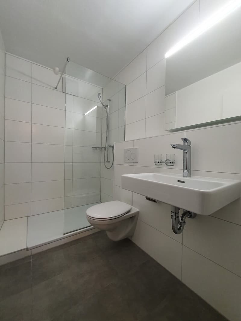 Beautiful renovated apartment at Chemin du Miroir 2, 1090 La Croix-sur-Lutry (8)