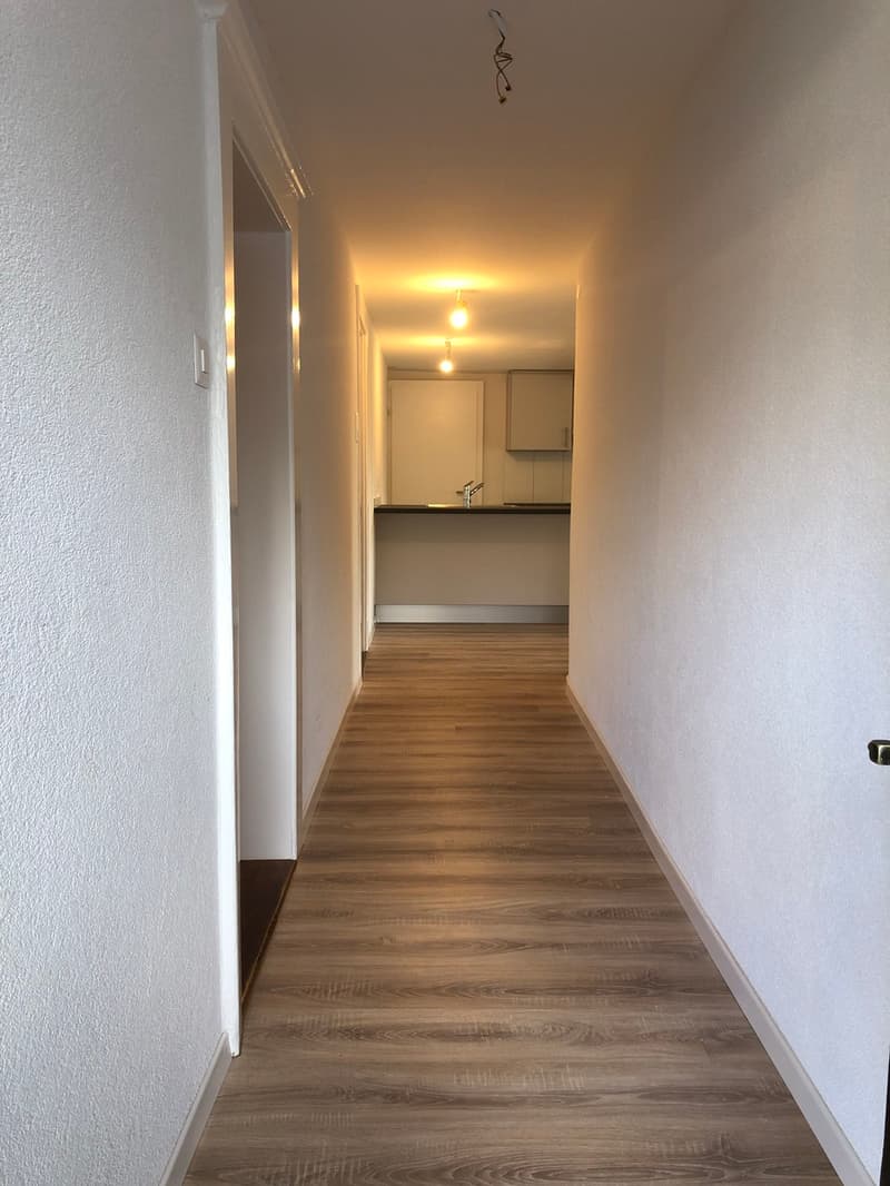 Beautiful renovated apartment at Chemin du Miroir 2, 1090 La Croix-sur-Lutry (5)