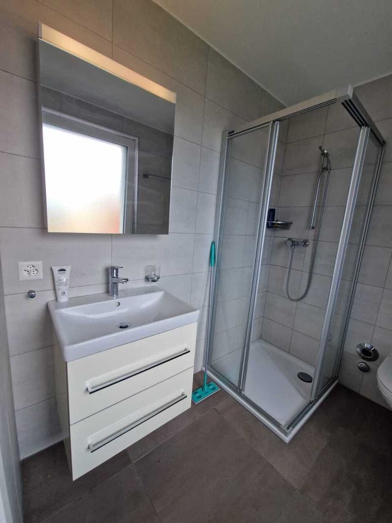 Beautiful apartment at Chemin des Diablerets 2, 1012 Lausanne (4)