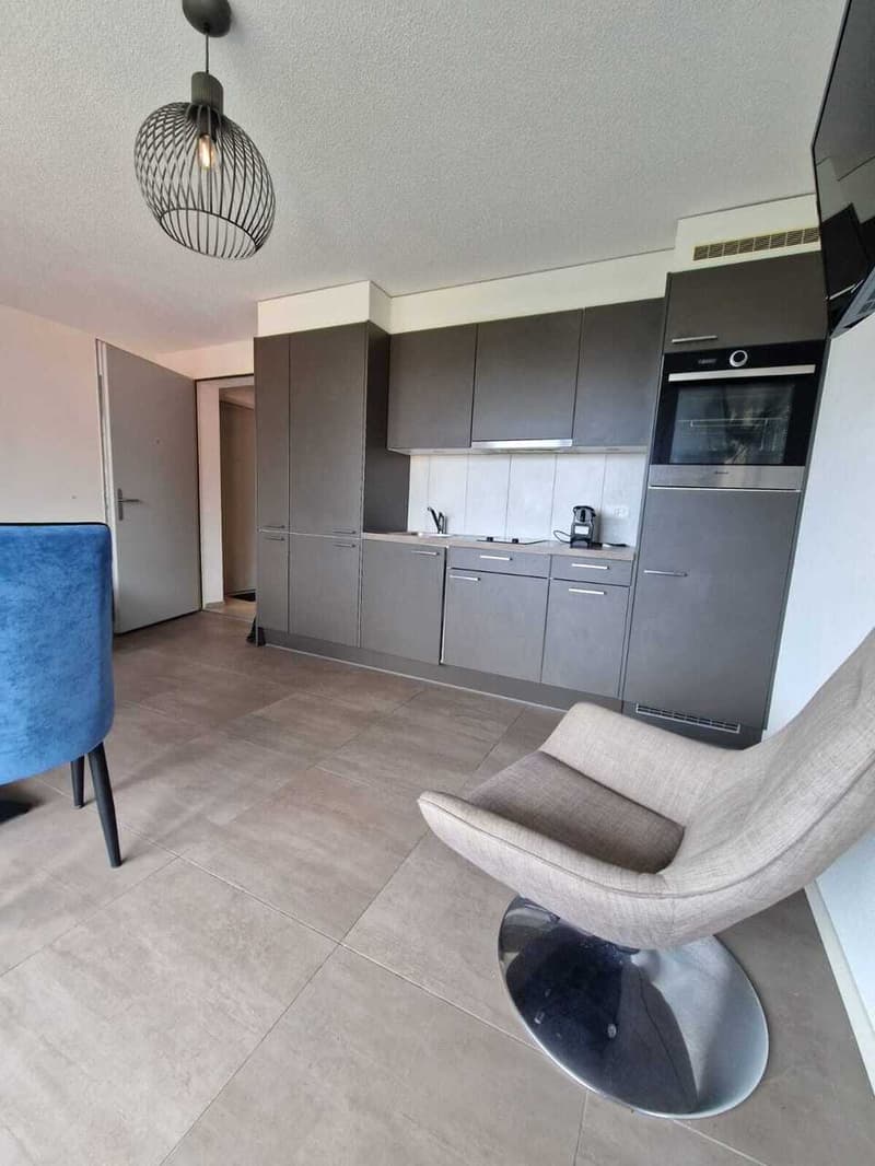 Beautiful apartment at Chemin des Diablerets 2, 1012 Lausanne (3)
