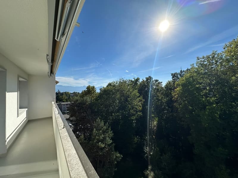 Appartement de 2 pièces au 6ème étage (3)