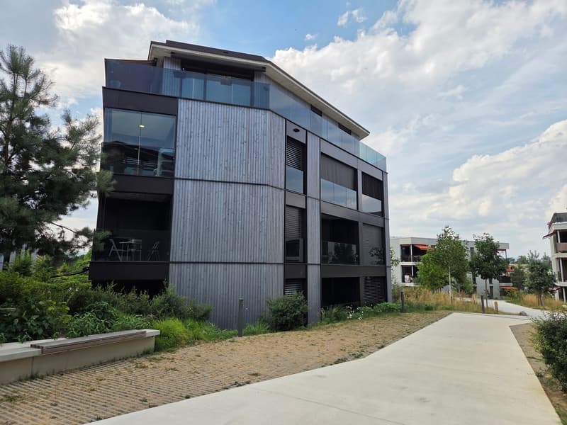 Bel appartement de 1.5 pièces à Echallens - disponible au 15.08.2025 (1)