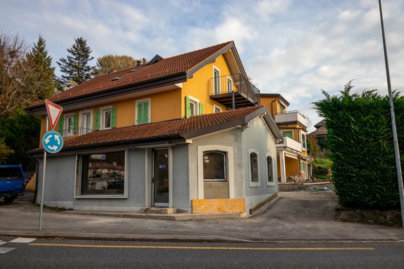 Bel appartement rénové au Chemin du Miroir 2, 1090 La Croix-sur-Lutry (1)