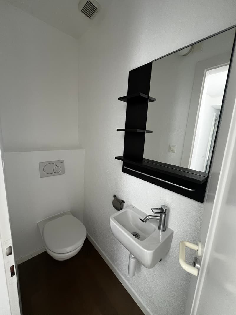 Bel appartement rénové au Chemin du Miroir 2, 1090 La Croix-sur-Lutry (12)