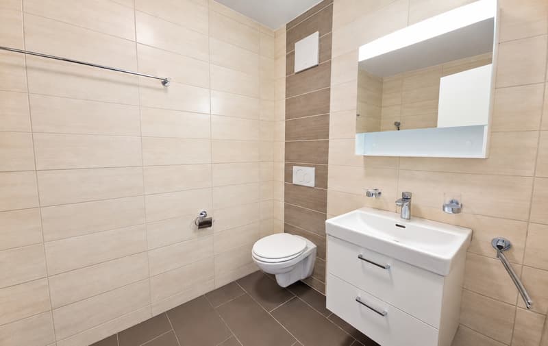 Appartement moderne de 2 pièces avec balcon (8)