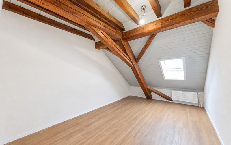 Appartement de 4.5 pièces entièrement rénové (5)