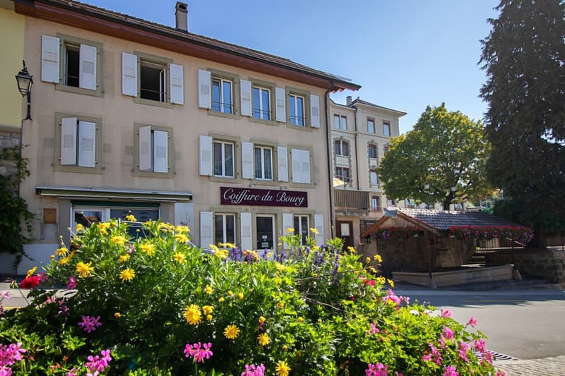Appartement de 4.5 pièces entièrement rénové (1)