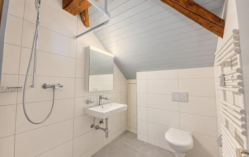 Appartement de 4.5 pièces entièrement rénové (8)