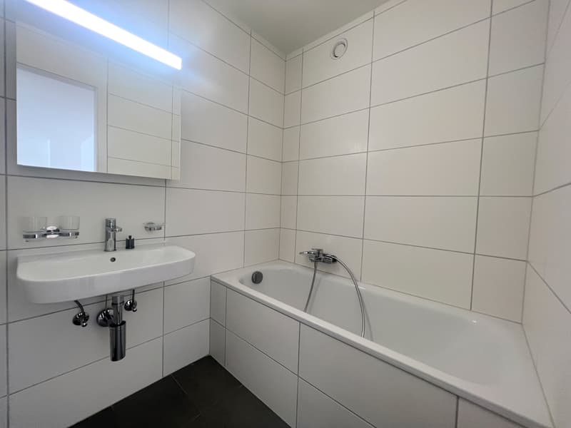 Spacieux appartement de 3 pièces (4)