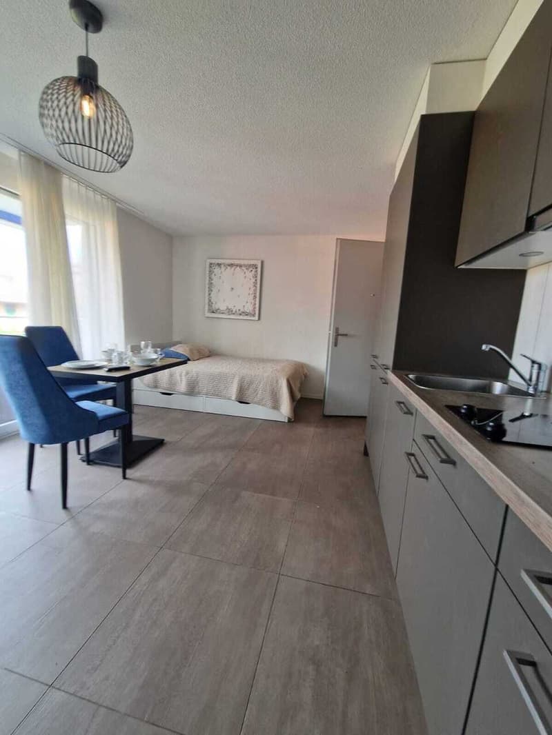 Bel appartement au Chemin des Diablerets 2, 1012 Lausanne (1)