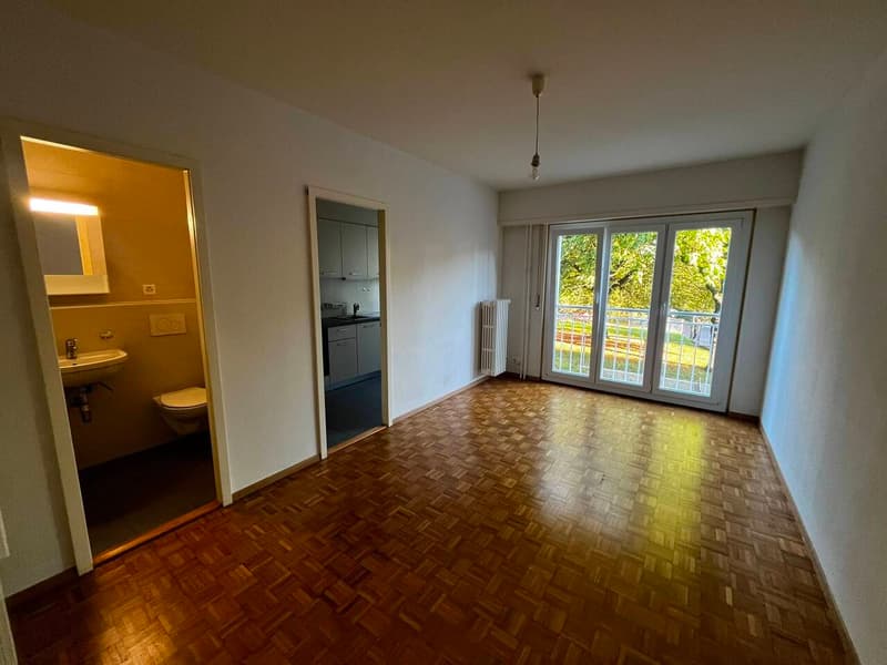 Village 6 - 1020 Renens (9)