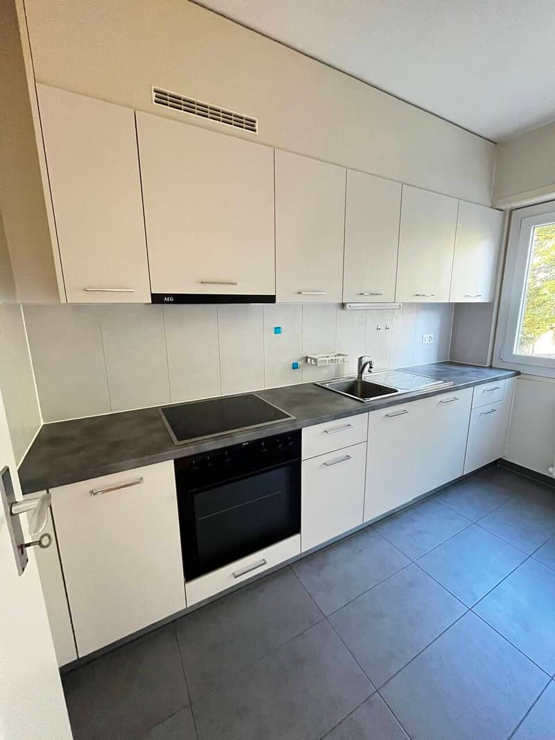 Village 6 - 1020 Renens (3)