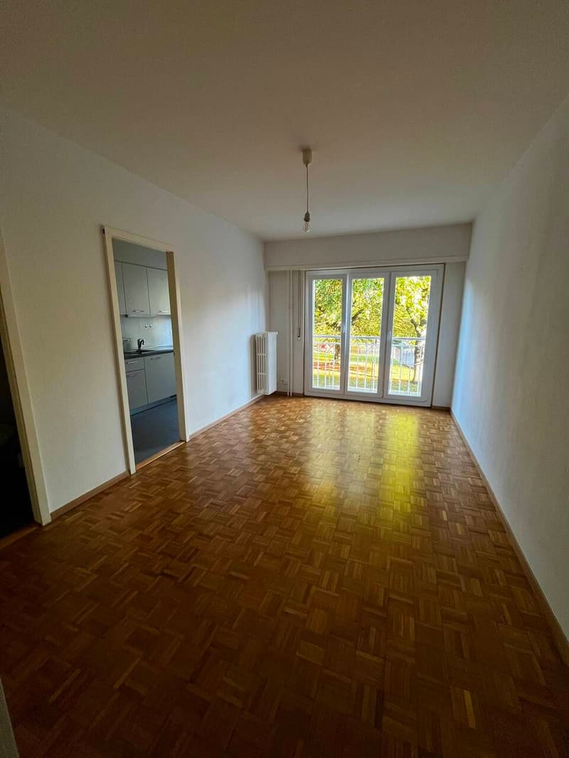 Village 6 - 1020 Renens (8)