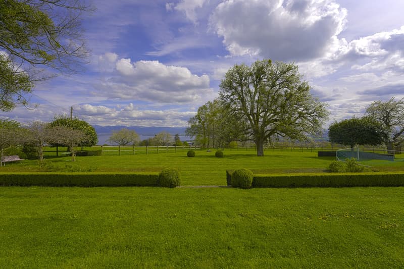 Propriété de charme avec vue imprenable sur le lac Léman (2)