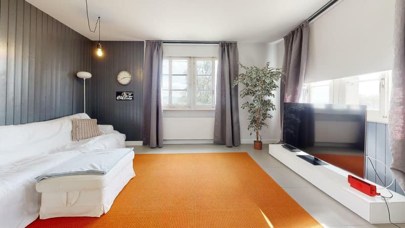 Propriété de charme avec vue imprenable sur le lac Léman (13)