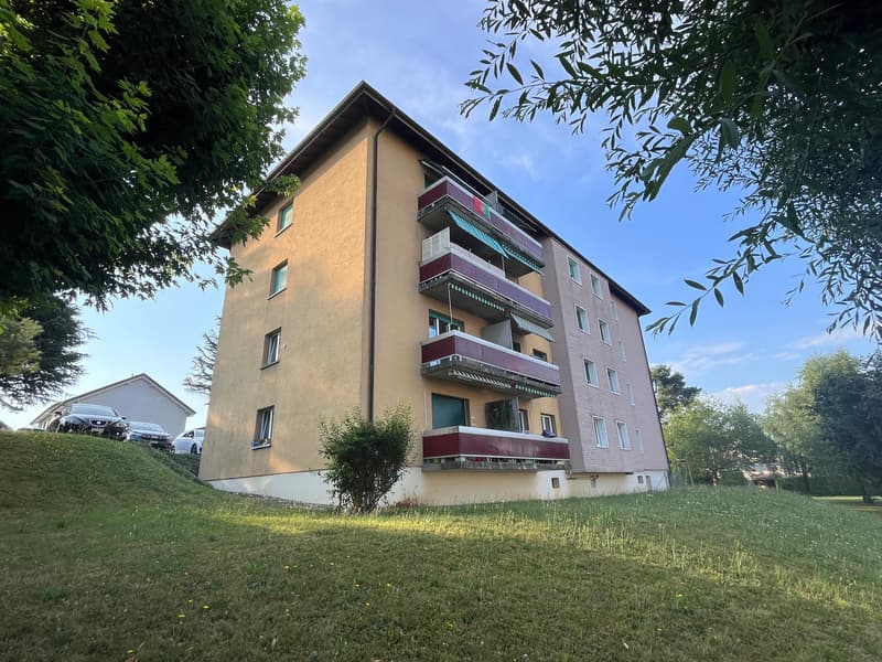Bel appartement rénové au Chemin du Signal 10, 1304 Cossonay (5)