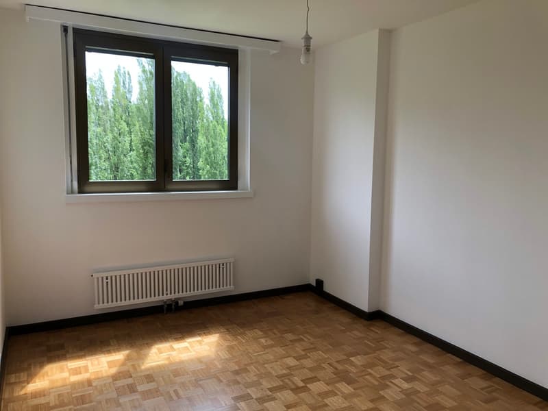 Bel appartement rénové au Chemin du Miroir 2, 1090 La Croix-sur-Lutry (3)