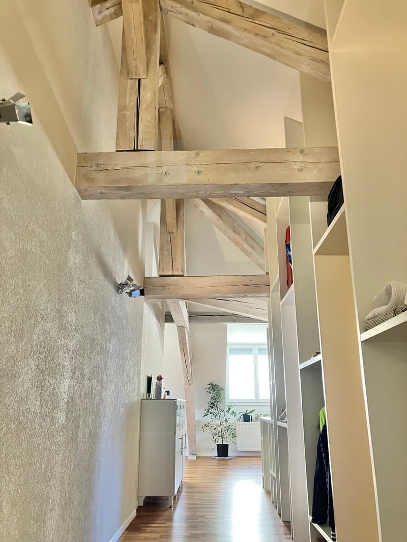 Loft au centre de Lausanne (6)