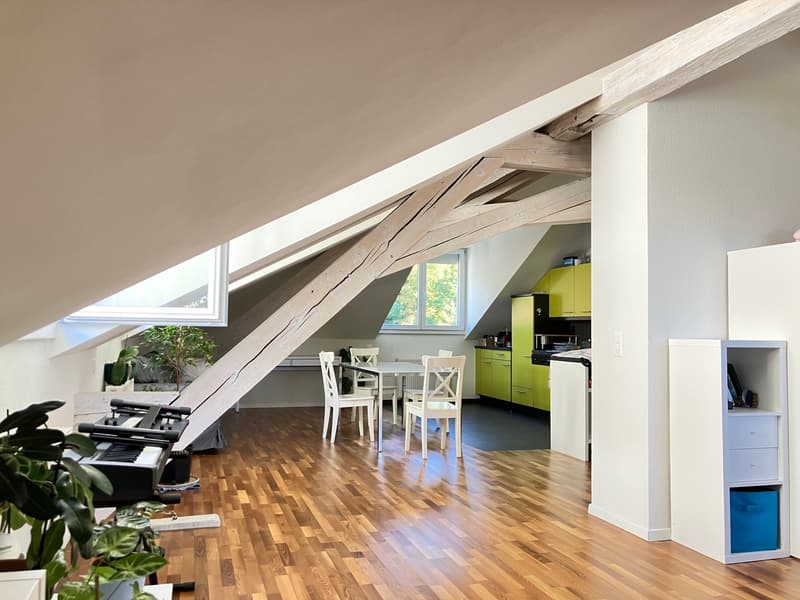 Loft au centre de Lausanne (4)