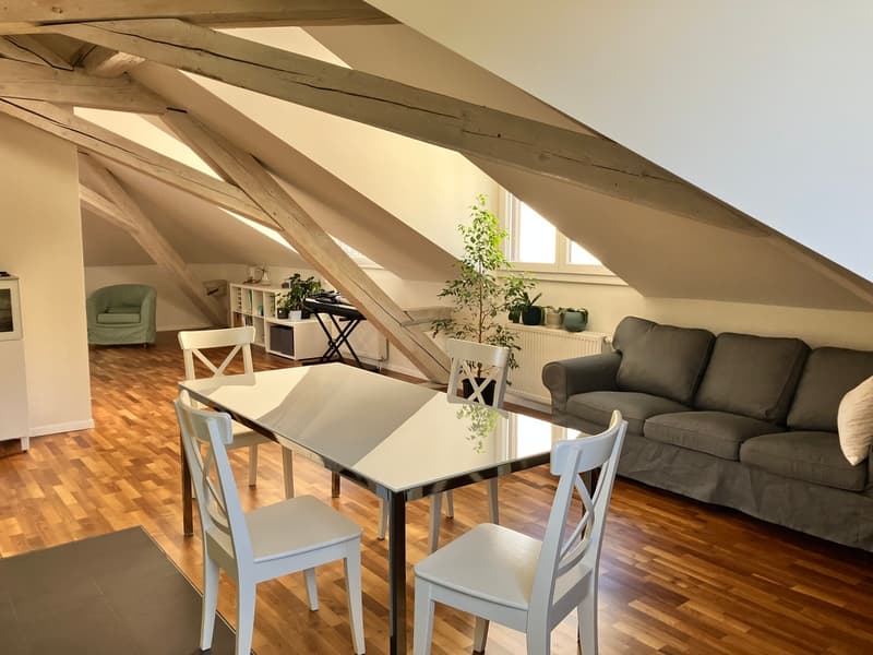 Loft au centre de Lausanne (3)