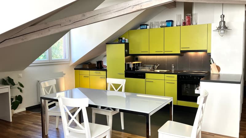 Loft au centre de Lausanne (5)