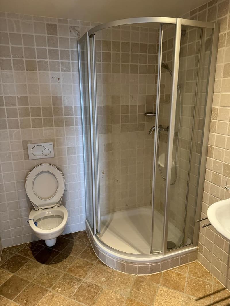 Bel appartement rénové Avenue Florimont 10, 1006 Lausanne (9)
