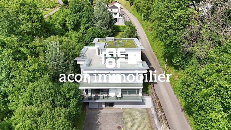 Brent - Attic apartment in duplex with 5½ rooms and breathtaking view (9)