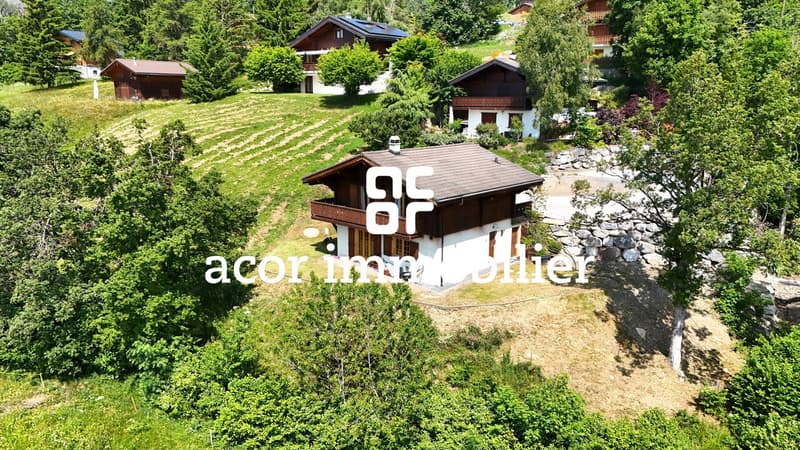 Chalet rénové avec vue et tranquillité à Arbaz! (1)