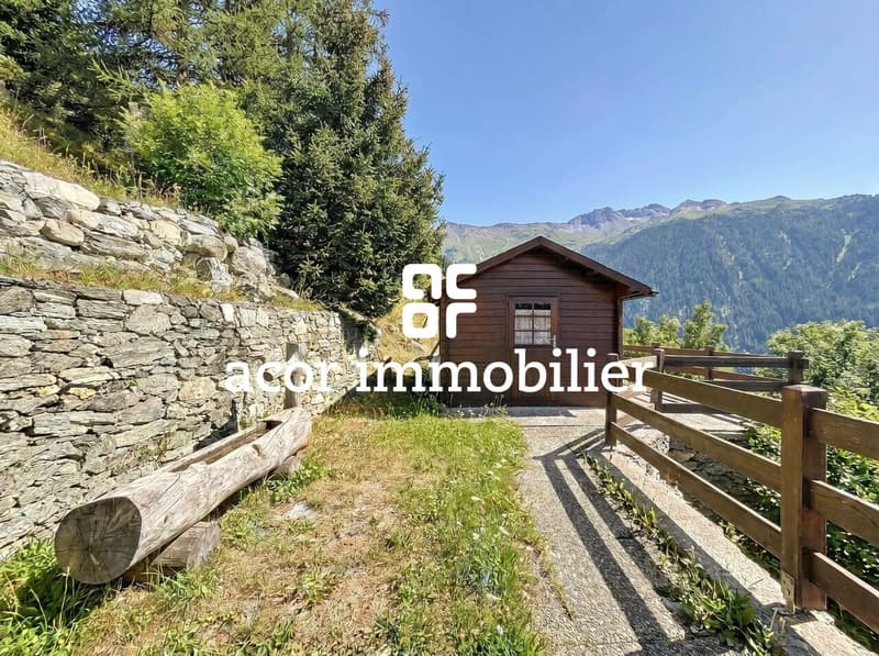 Val d'Hérens - Chalet mit besonderem Charme in Mase (6)