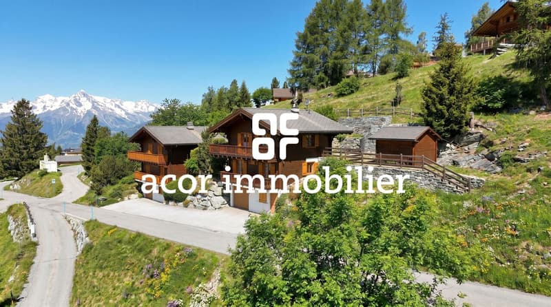 Val d'Hérens - Chalet mit besonderem Charme in Mase (2)