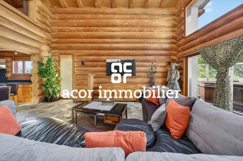 Villa in tronchi di legno in stile chalet canadese (2)