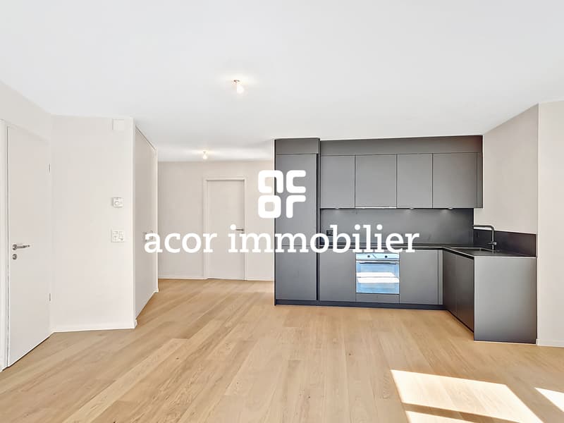 Magnificent 3.5 rooms new with balcony in Vétroz! (1)