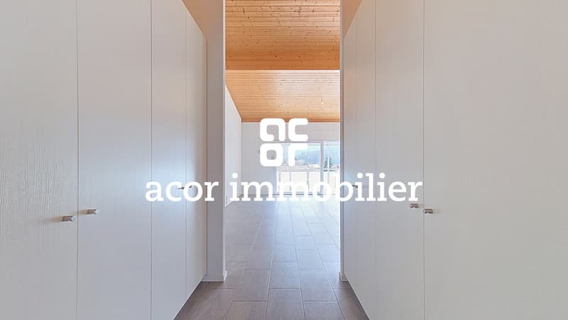 Appartamento attico 4.5 locali luminoso e Minergie (5)