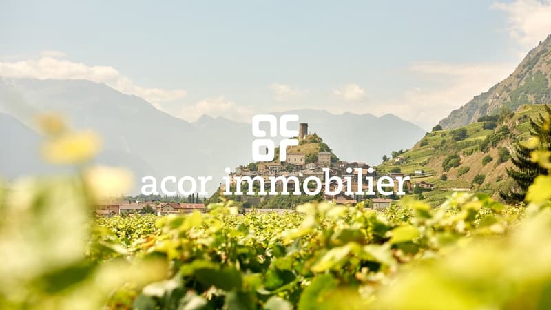 Appartement-villa 4,5 pces avec jardin privatif (10)