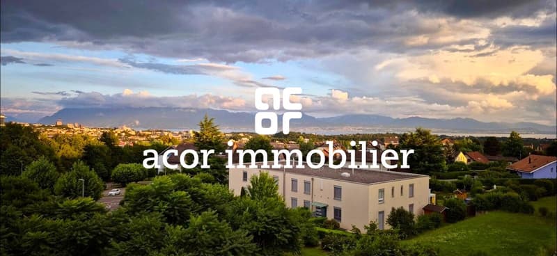 Nestled in the heights of Bussigny, large 4.5 room bright apartment (5)