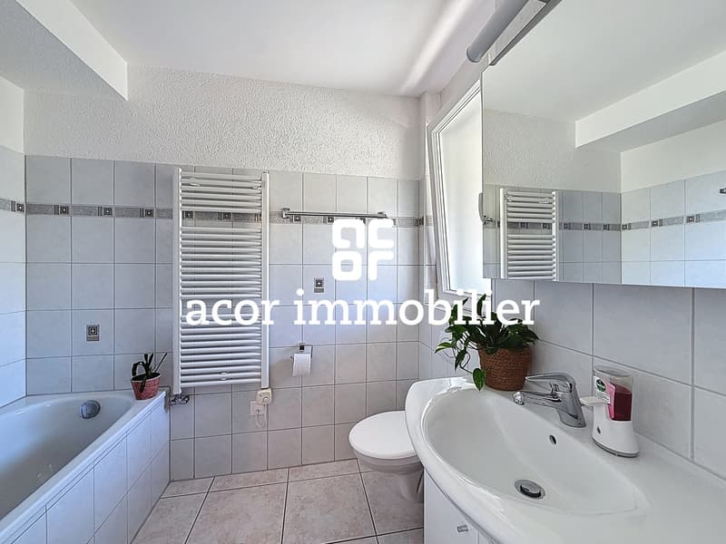 Propriété familiale avec rendement locatif (5)
