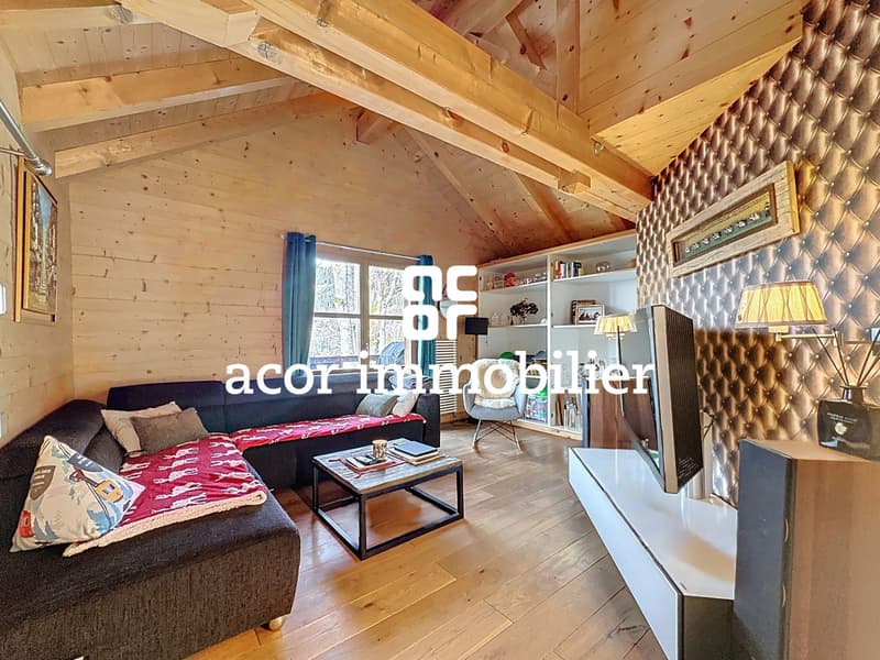 Living ou chambre