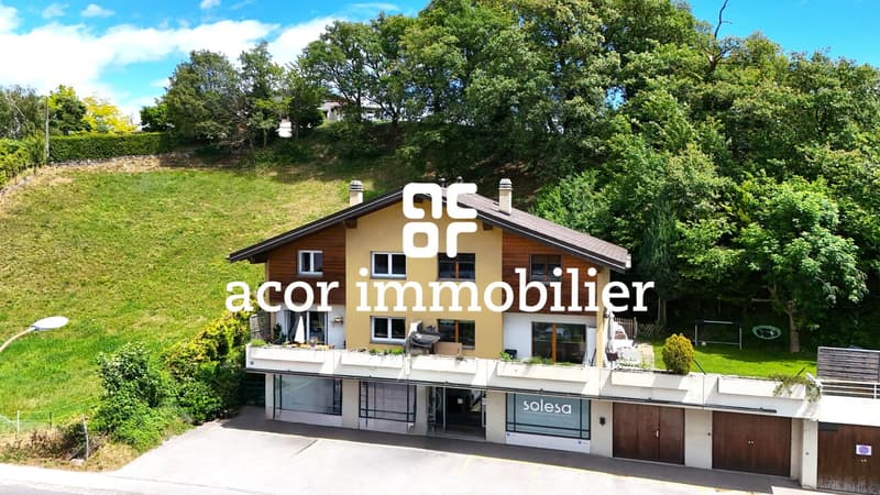 Charmant duplex au centre de la commune de Savièse! (4)
