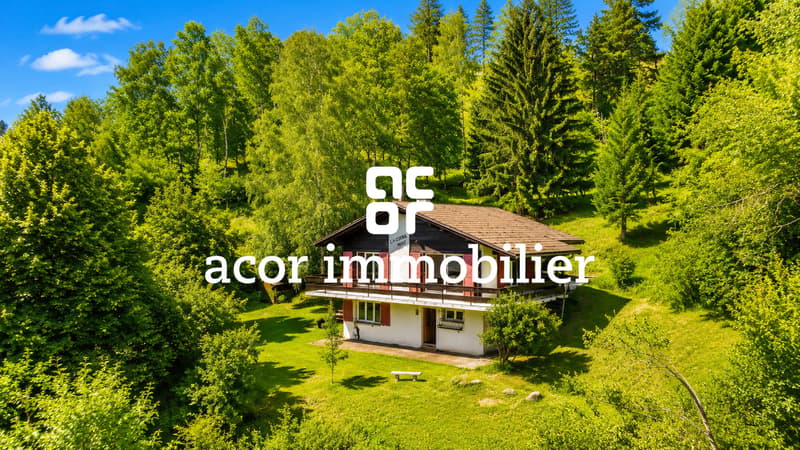 Charmant chalet dans un écrin de verdure - Calme, intimité et sérénité (1)